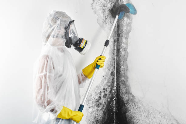 Best Asbestos and Lead Testing During Mold Inspection  in Raymond, MS